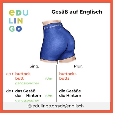 gesäß englisch